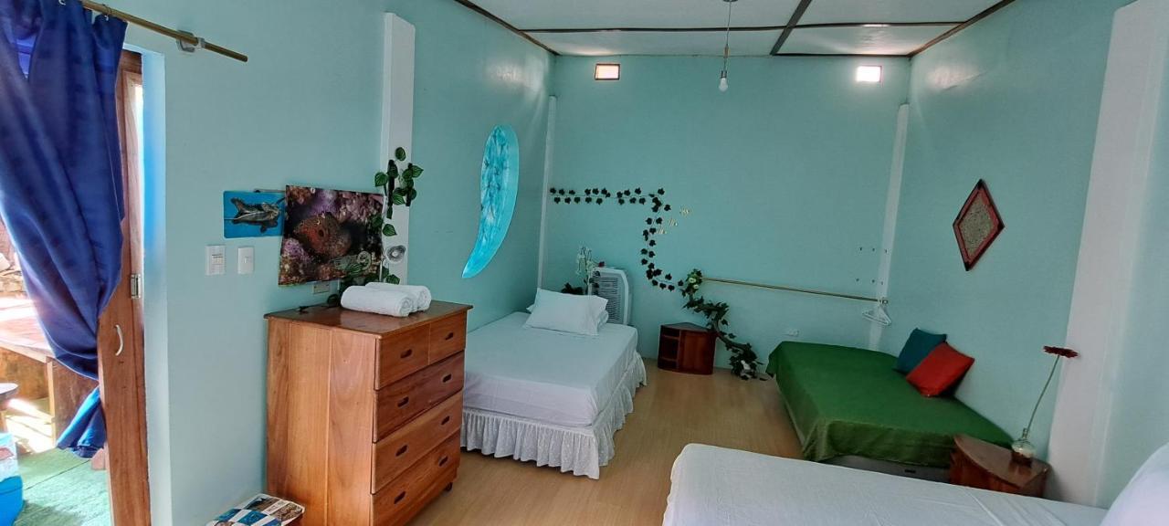 Cozy Hosting Galapagos Daire Puerto Ayora  Dış mekan fotoğraf