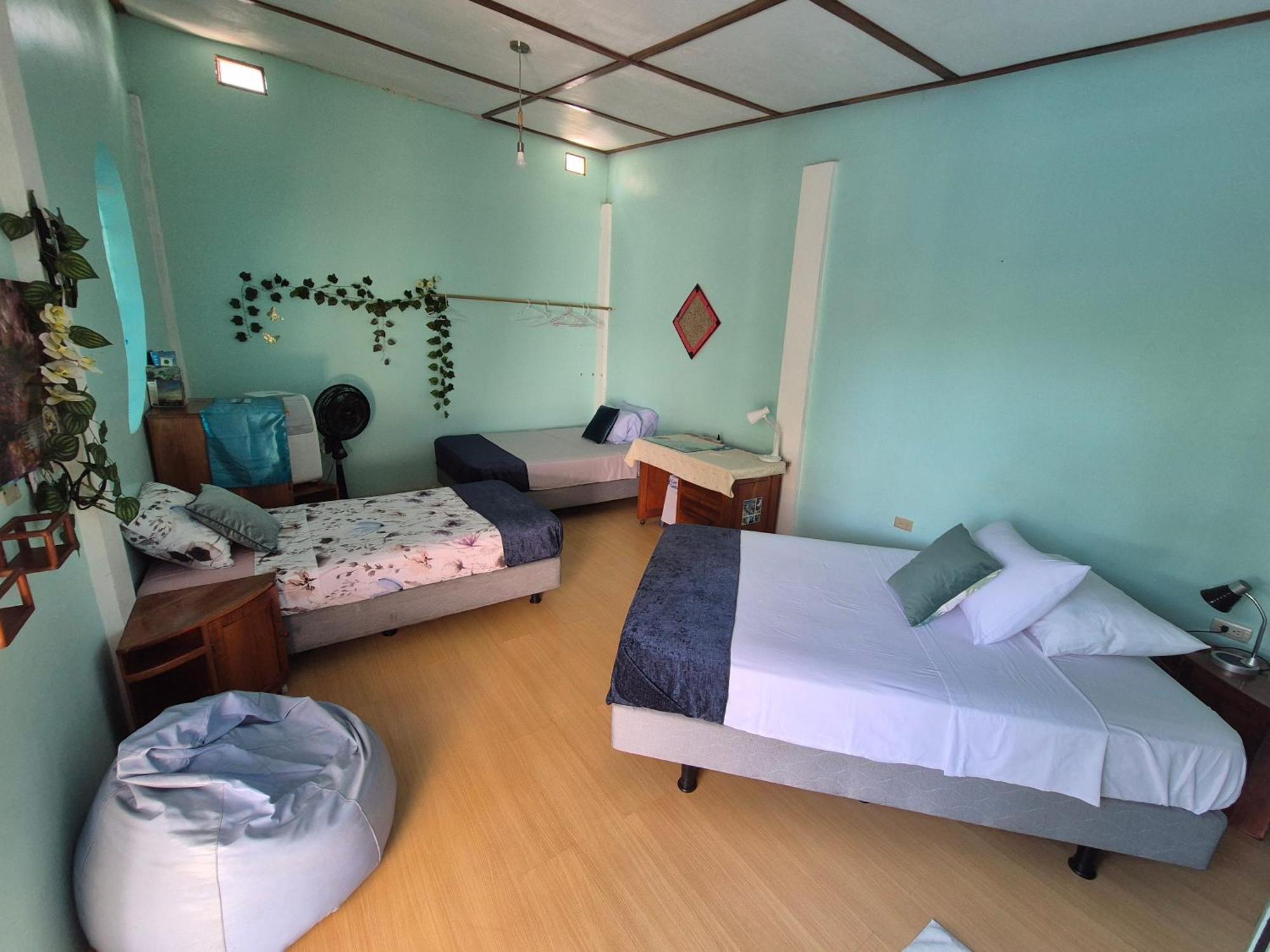 Cozy Hosting Galapagos Daire Puerto Ayora  Dış mekan fotoğraf